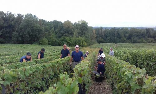 Entretien Espaces Verts Jonchery